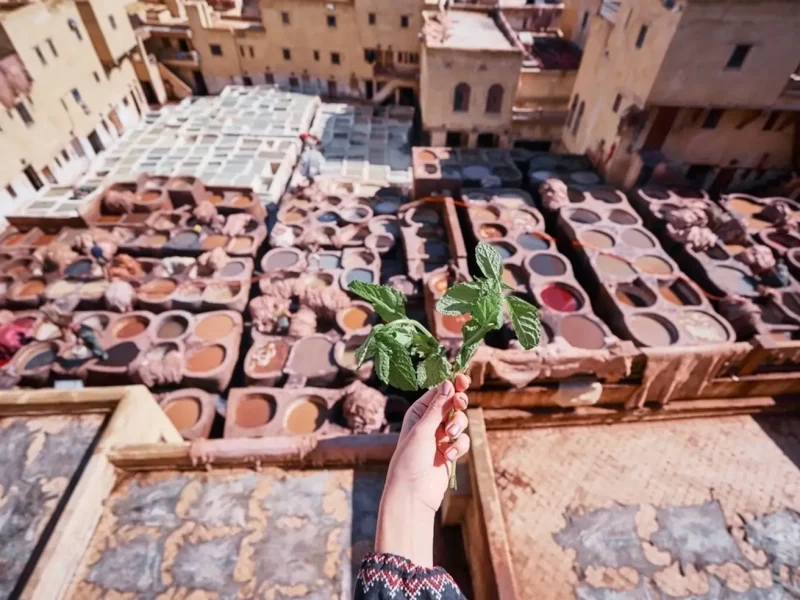 10-days-tour-from-Casablanca-Fez