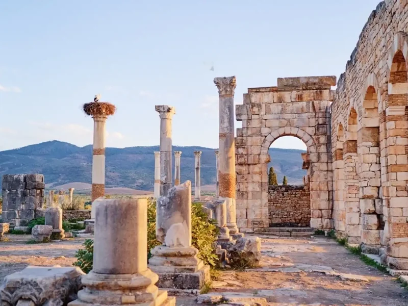 10-days-tour-from-Marrakech-Day-7-Volubilis