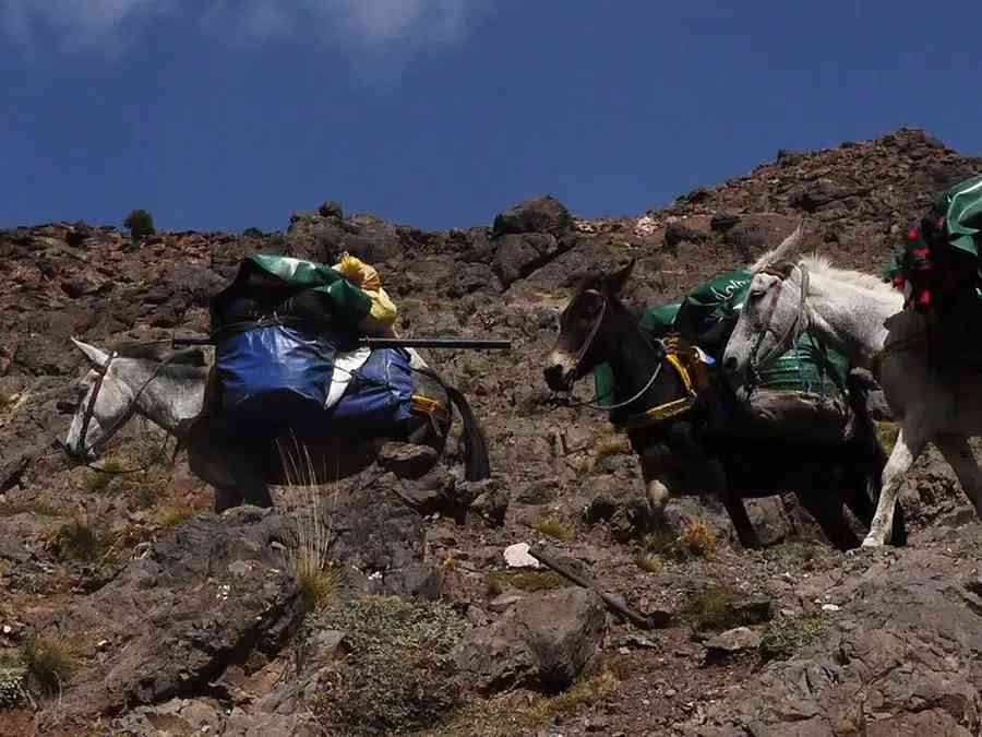 4-day-Mount-Toubkal-hike-1