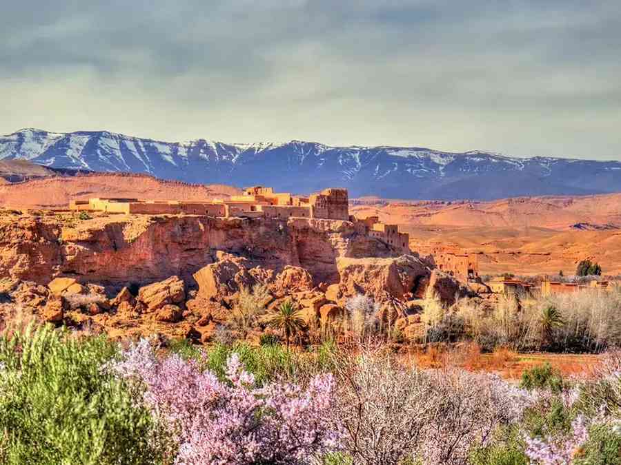 Agafay-desert-day-trip-from-Marrakech