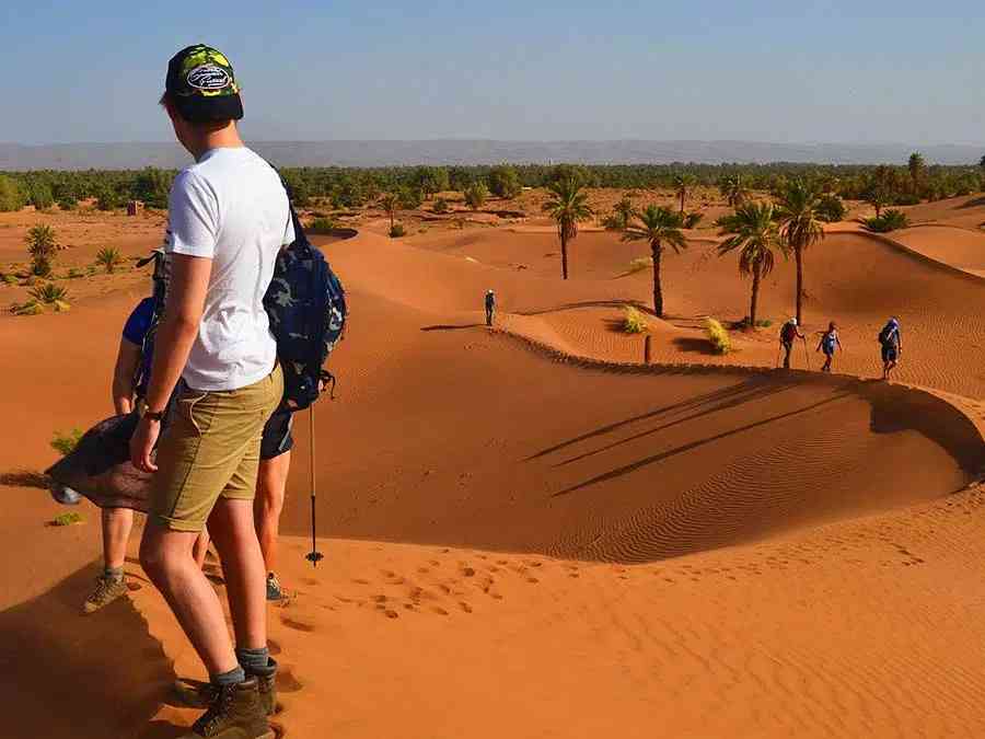 Explore the vast Sahara Desert by foot, trekking through its stunning sand dunes.