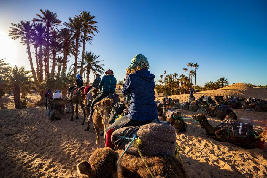 Grand Tour of Morocco an 11-Day Immersive Adventure (7)