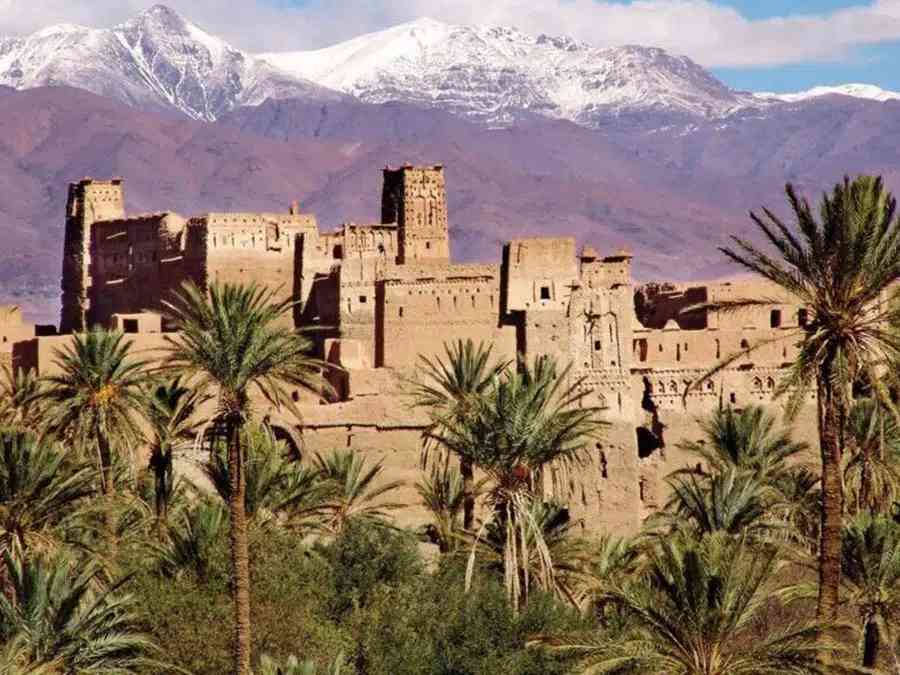 The impressive Kasbah, a fortress of tradition, stands tall amidst the lush palms, offering a glimpse into the past along the route of the Toubkal summit hike and Sahara desert tour.
