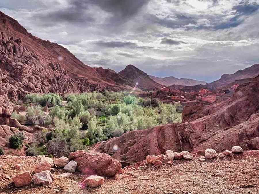 A verdant oasis unfolds in the heart of the Dades Valley, a scenic stop on your Marrakech to Fes tour.
