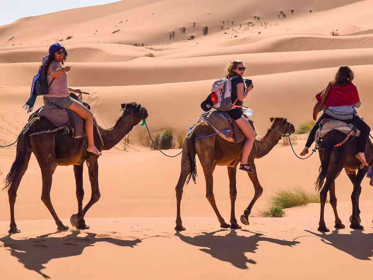 Embark on a camel caravan journey through the Erg Chebbi dunes on your Sahara tour.