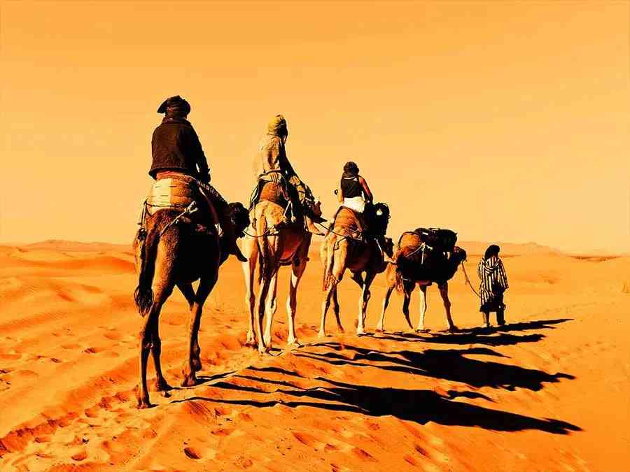Traverse the sands of time on a camel caravan during our 3 days tour from Marrakech to Fes.