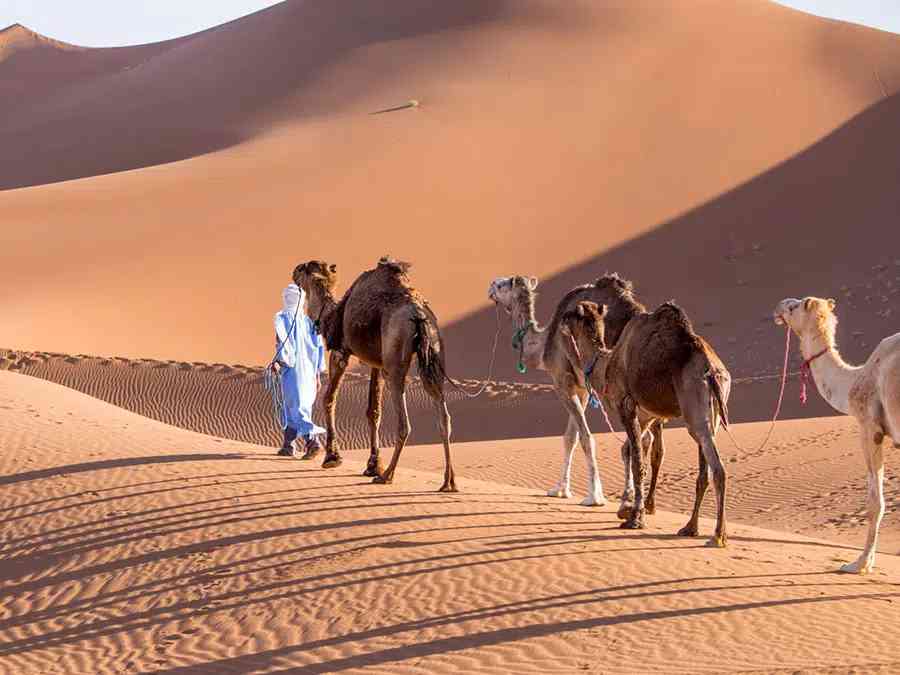 Morocco-desert-tour-from-Marrakech-to-Chefchouen