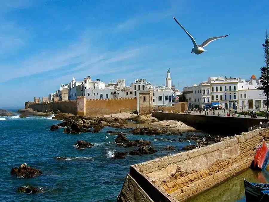 Private-day-tour-to-Essaouira-from-Marrakech