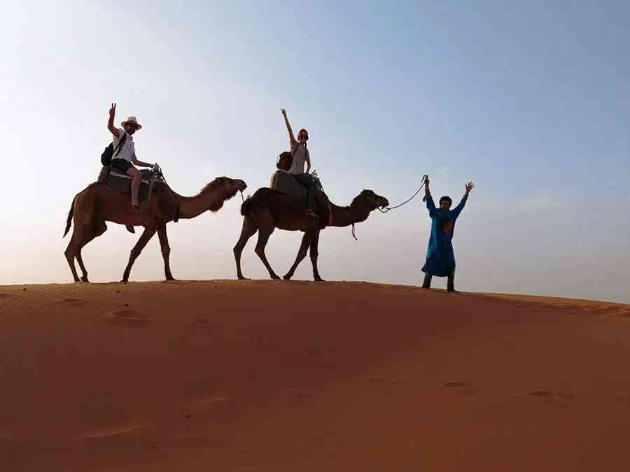 Ride camels through the Erg Chebbi dunes for an unforgettable desert experience.