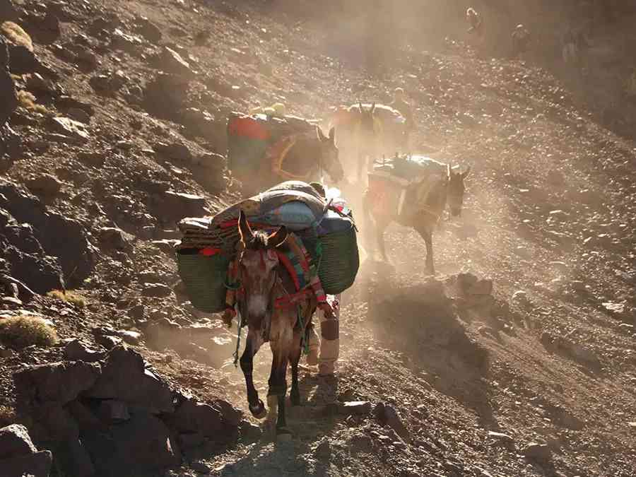 Trkking-in-Toubkal-National-Park-Morocco-1