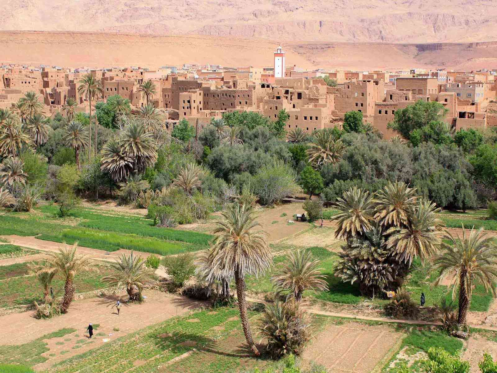 Discover the verdant oasis and traditional architecture on your private tour from Marrakech to Merzouga.